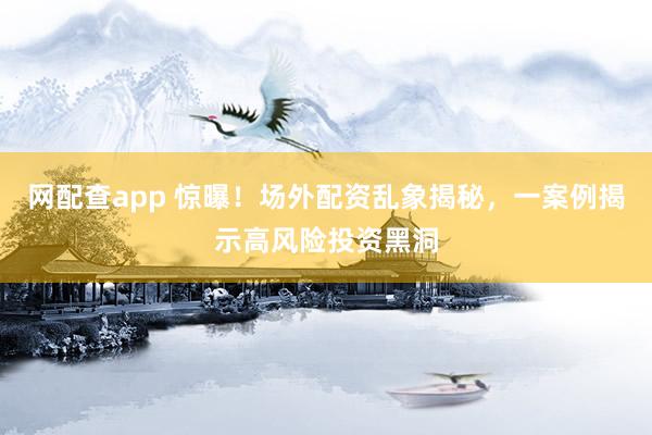 网配查app 惊曝！场外配资乱象揭秘，一案例揭示高风险投资黑洞