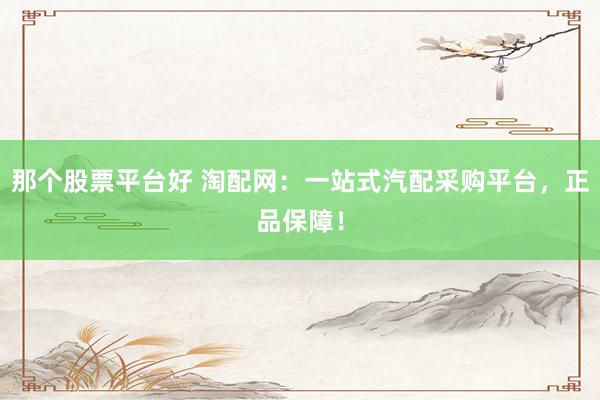 那个股票平台好 淘配网：一站式汽配采购平台，正品保障！