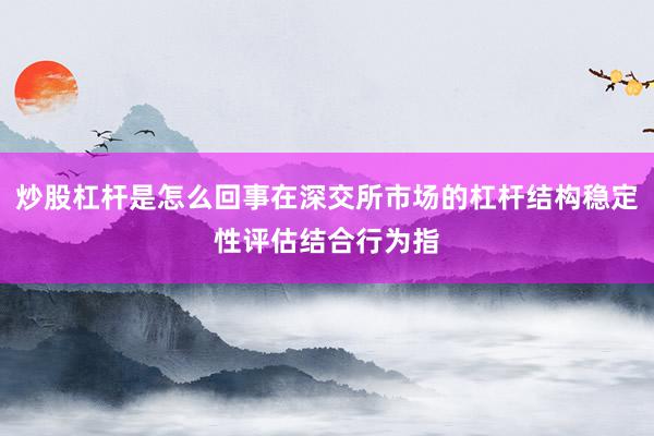 炒股杠杆是怎么回事在深交所市场的杠杆结构稳定性评估结合行为指