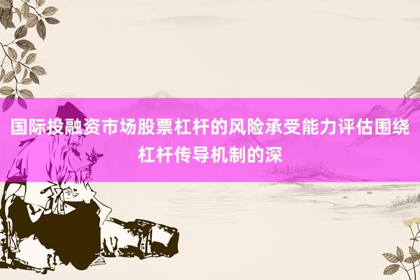 国际投融资市场股票杠杆的风险承受能力评估围绕杠杆传导机制的深