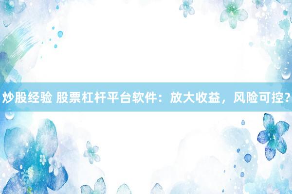 炒股经验 股票杠杆平台软件:放大收益,风险可控?