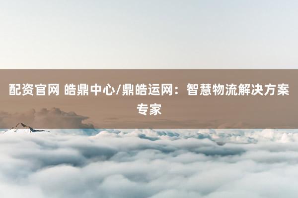 配资官网 皓鼎中心/鼎皓运网：智慧物流解决方案专家