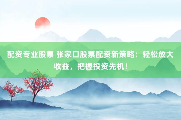 配资专业股票 张家口股票配资新策略：轻松放大收益，把握投资先机！